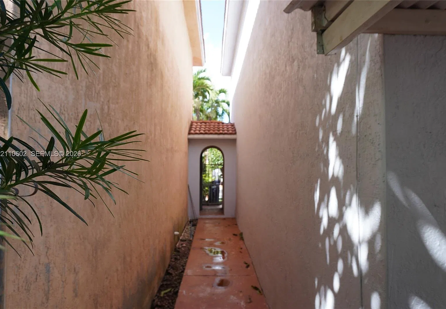 Kingdom Dream — Photo 2