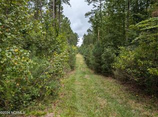 3867 Airport Rd, Clarkton, NC 28433