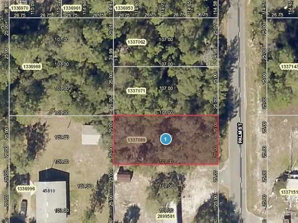 Palm St, Paisley, FL 32767