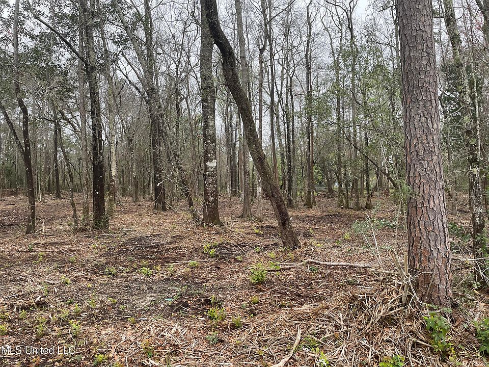 2nd image of Westerland Dr Lot 3