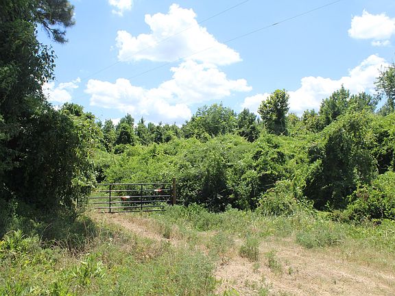 4th image of 641 County Road 4645