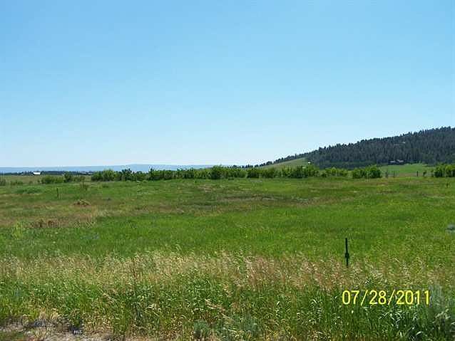 1st image of Tbd Grizzly Bear Loop