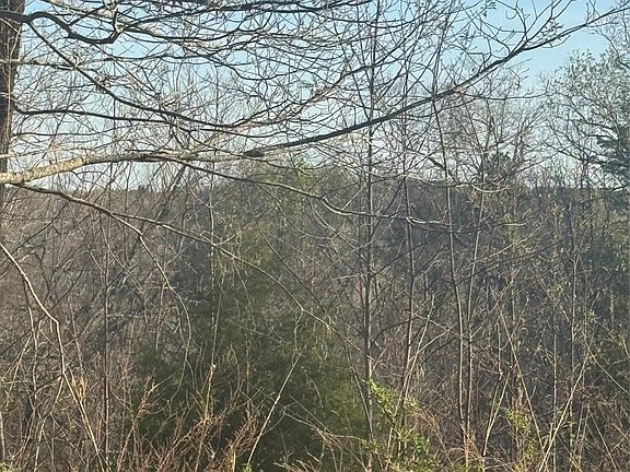 3rd image of 0 Willow Top Ln #317