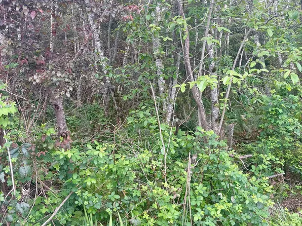 Pike St, Crescent City, CA 95531