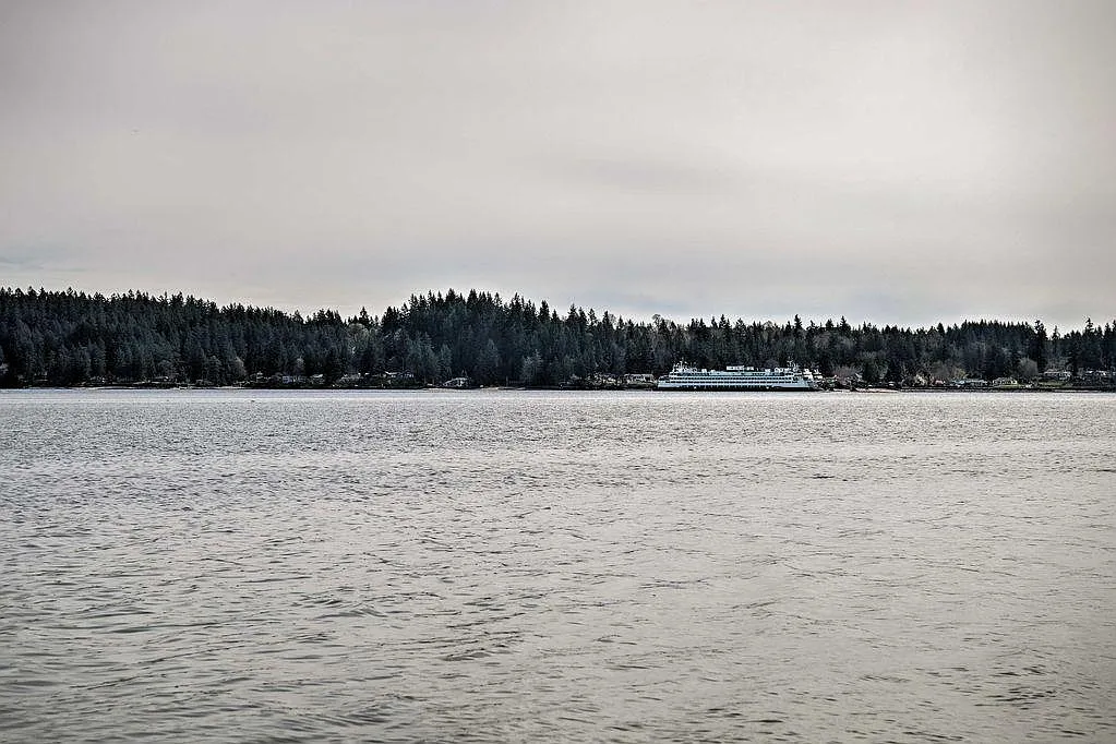 NE Bahia Vista Dr, Bremerton — Photo 2