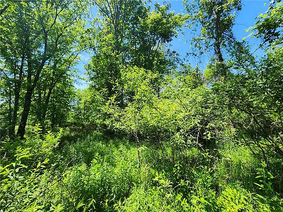 4th image of 0 Irish Ridge Rd