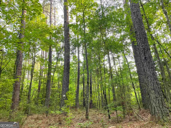 0 State Route 103 Hwy, West Pt, GA 31833