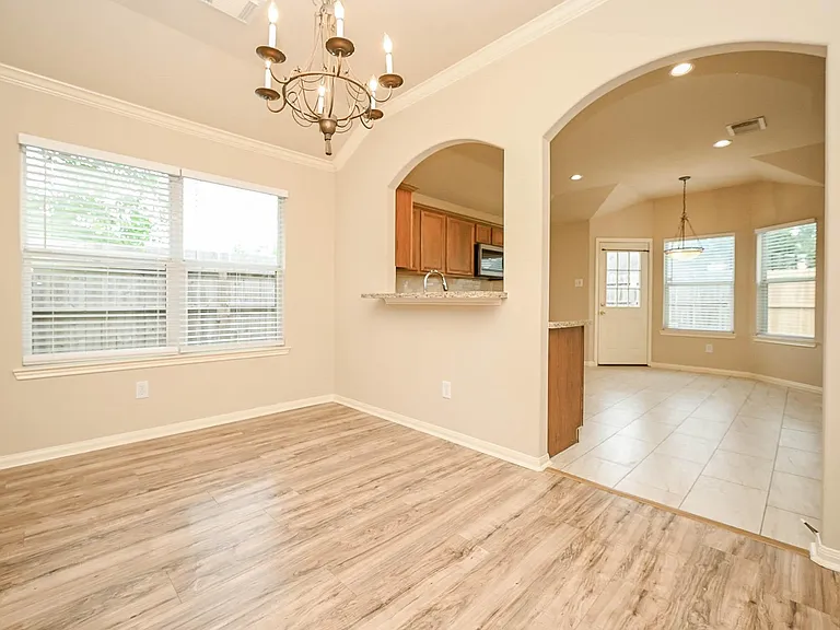 18518 Shadow Line Ct — Photo 11