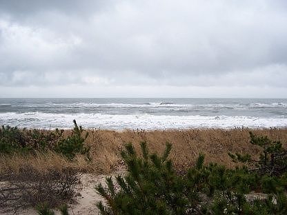 1st image of 323 Marine Blvd
