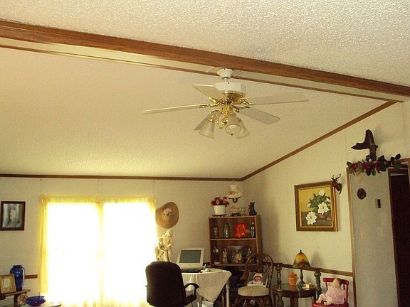 Living Room Vaulted Ceiling