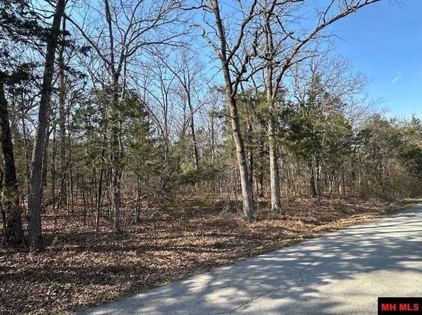 77000936000 Orchard St, Flippin, AR 72634