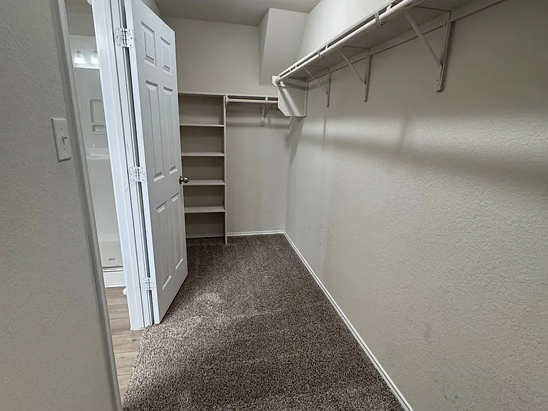 1812 Bee Creek Loop — Photo 21