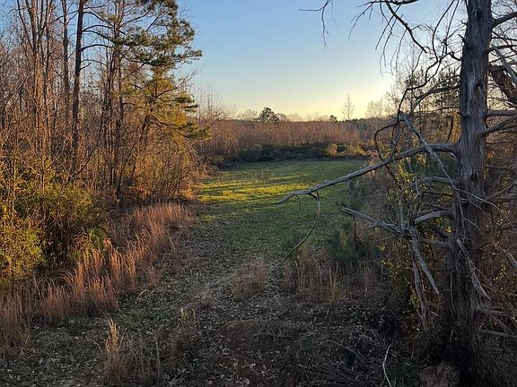 2nd image of 11255 Old Port Gibson Rd