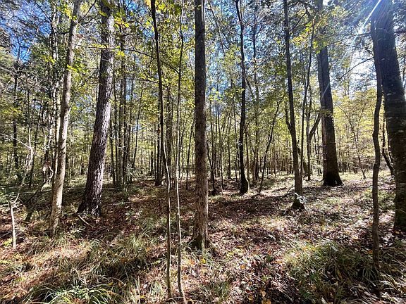 4th image of 272 Highway 35