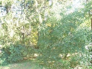 2nd image of 33 Cutler Ln