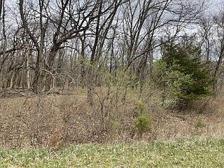 2nd image of 4026 Elmwood Ln