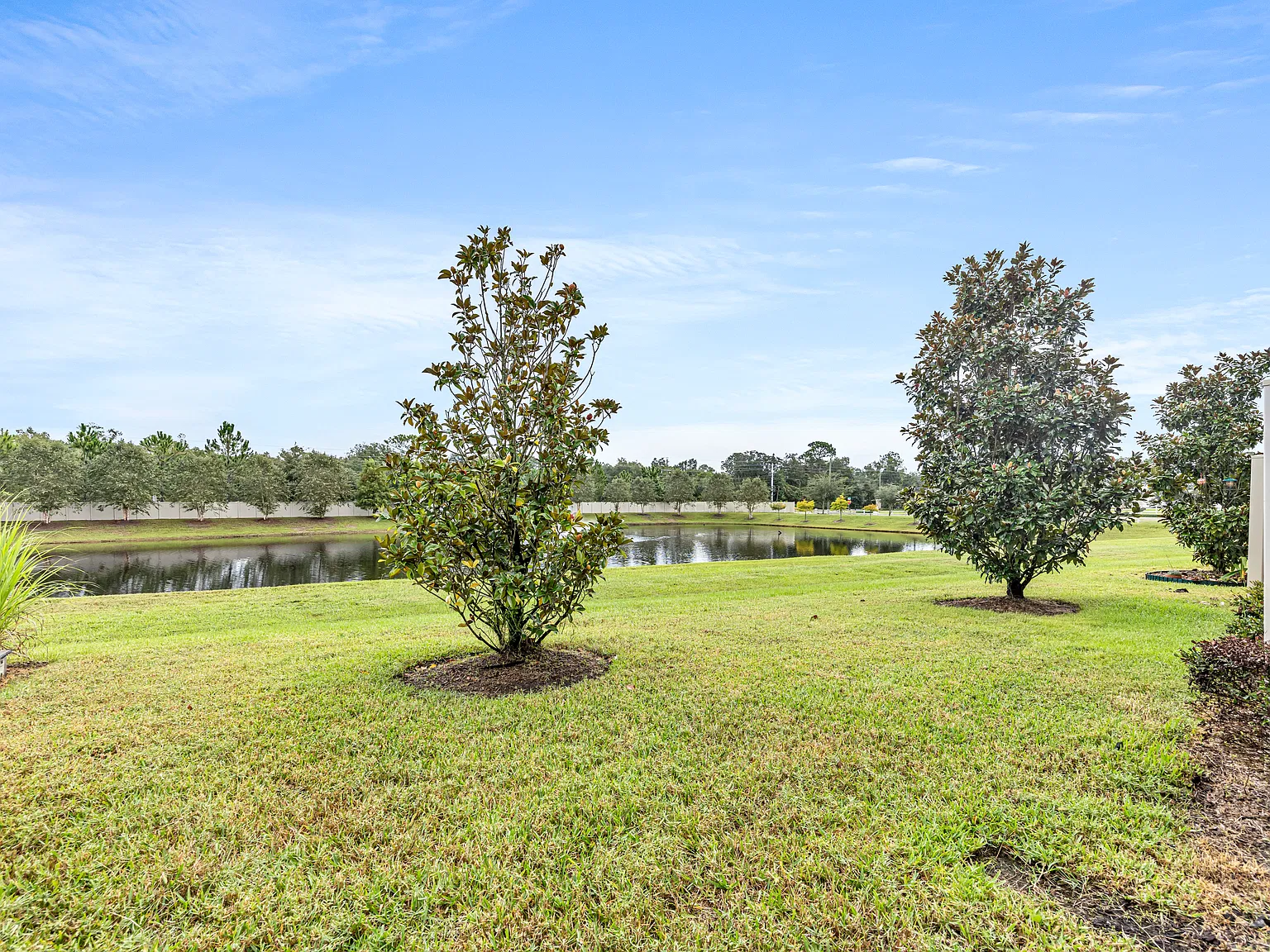 Silver Fern Dr, Saint Augustine — Photo 4