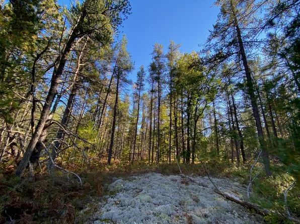 12545 N Whitefish Point Rd, Paradise, MI 49768