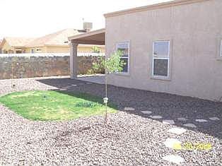 Back yard
