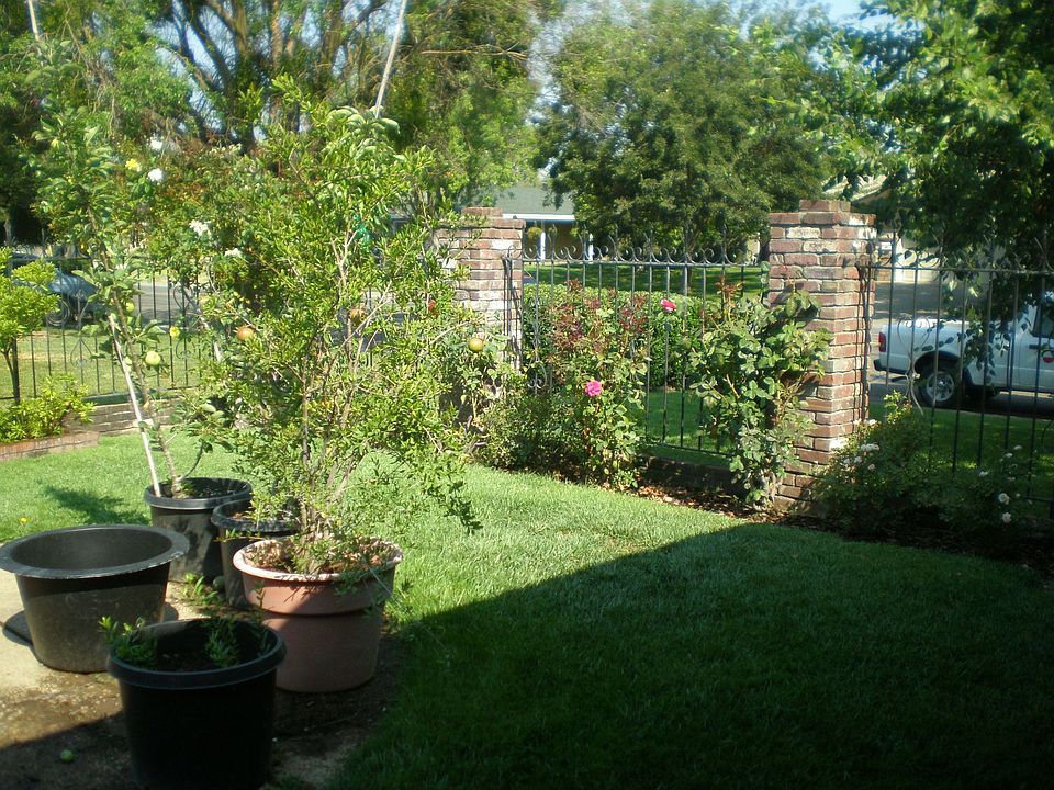 1st image of 3241 Rosemont Dr