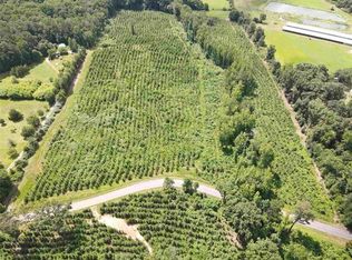 0 Clarence Odum Rd LOT 0, Monroe, GA 30656