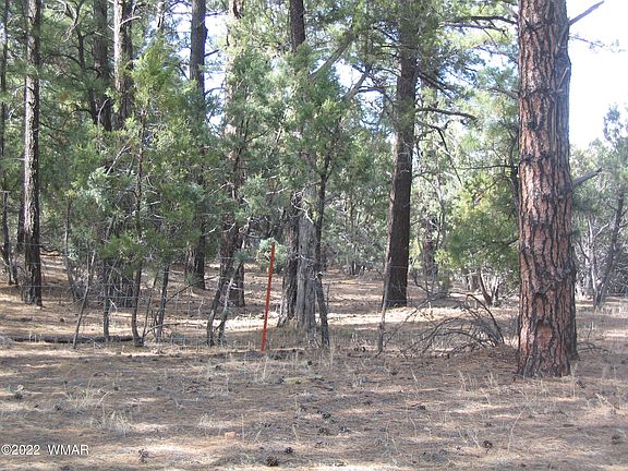 2nd image of 1481 N 27th Dr