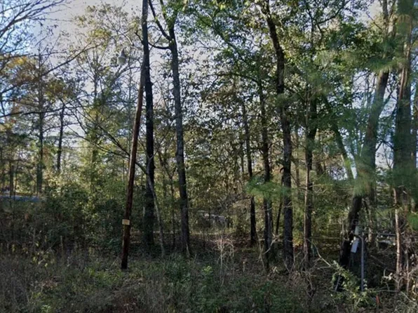 5776 Bonham Ln, Willis, TX 77378