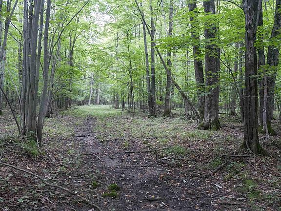 4th image of +/-80 Acres PINE AVENUE