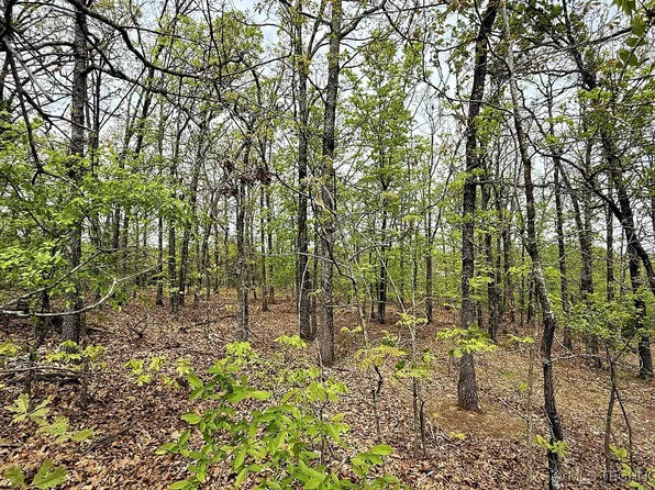 15208 W Overland Dr, Park Hill, OK 74451