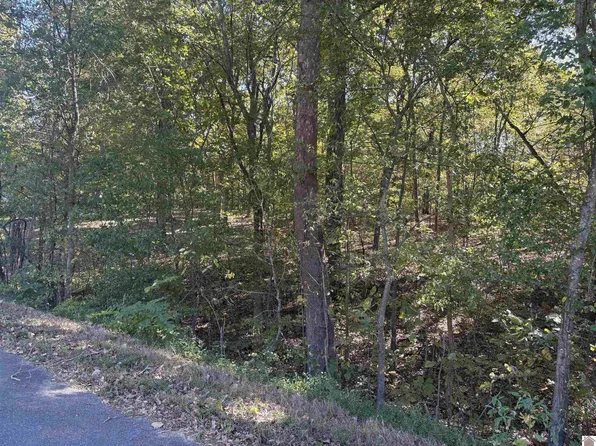 0 Prince John Way #6, Calvert City, KY 42029