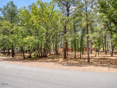 4063 Bridle Path Cir, Pinetop, AZ, 85935