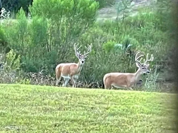1108 County Road 152, Hallettsville, TX 77964
