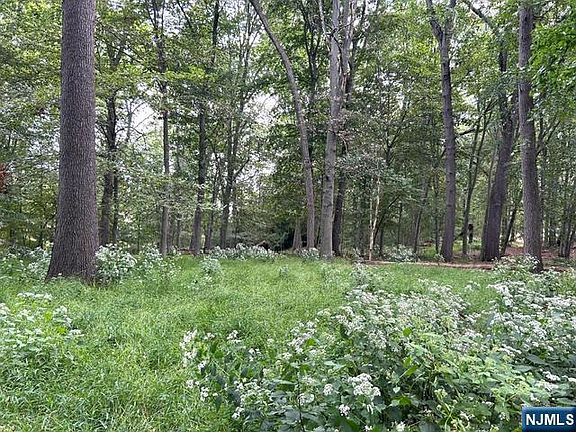 2nd image of 440 Cedar Lane