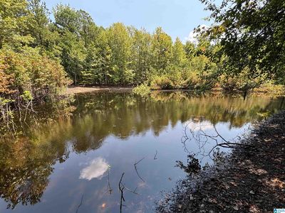 0 Mountain Brow Dr, Oneonta, AL, 35121