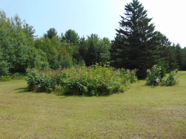 0 State Highway M28, Newberry, MI 49868