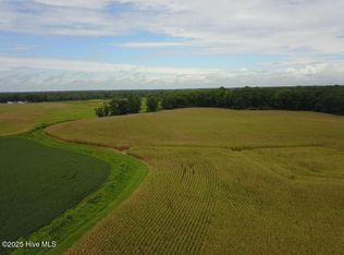 0 Lyman Rd, Beulaville, NC 28518