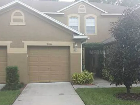 18856 Duquesne Dr, Tampa, FL 33647