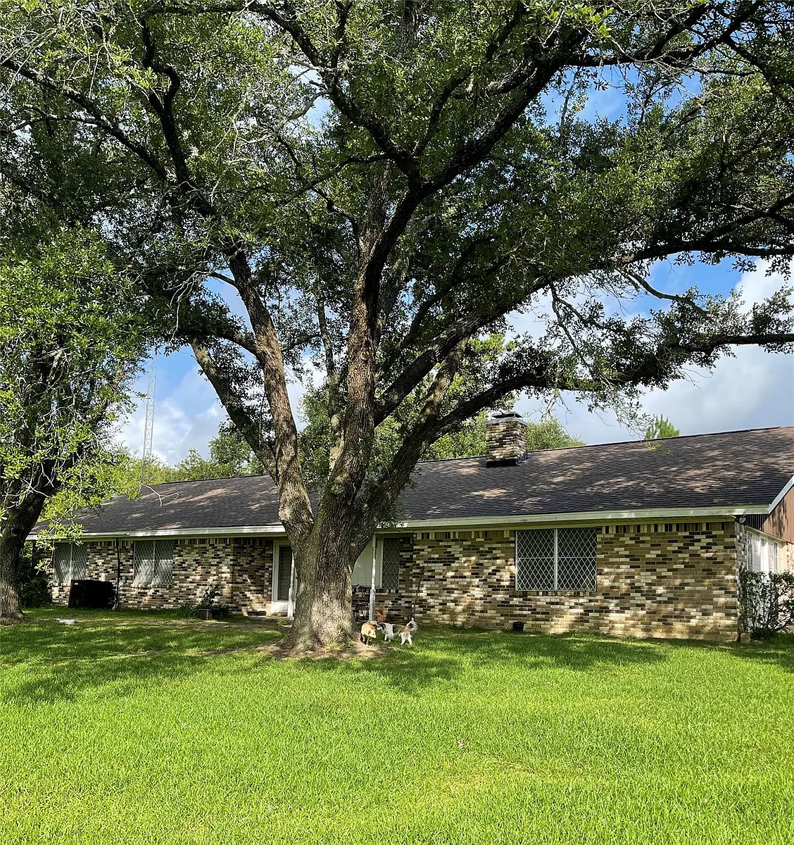 Building Photo - 2301 State Highway 19