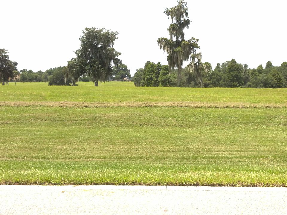 10742 Osprey Landing Way, New Home In Thonotosassa FL