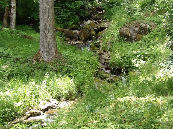 4th image of 155 Waterfall Hollow Rd