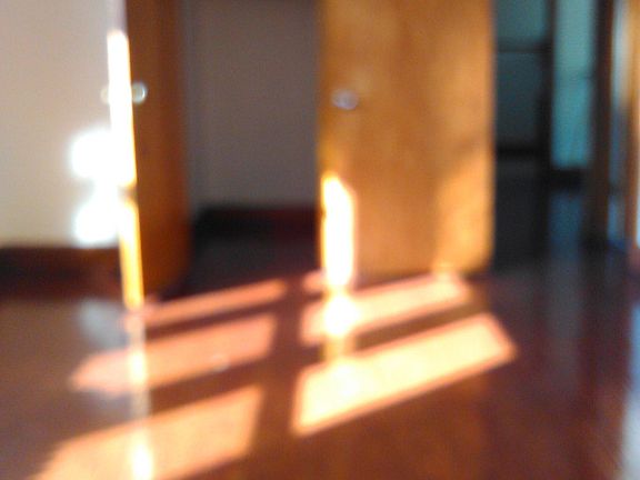 5th image of 1715 N McVicker Ave #2E