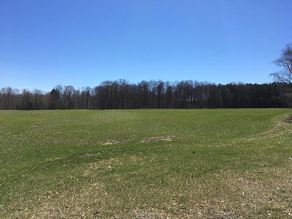 4th image of 5141 W Shelby Rd