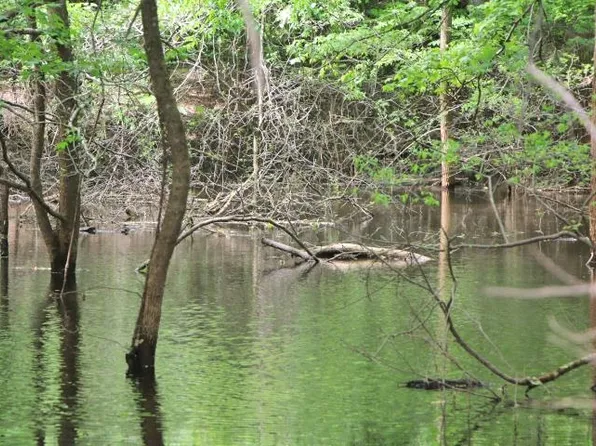 355 Cherokee Rd, Lucas, KY 42156