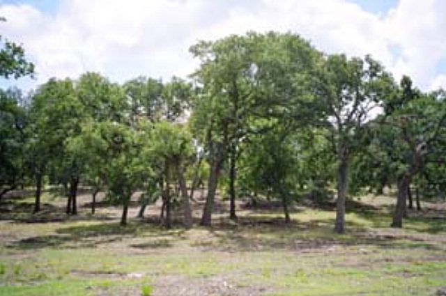 1st image of LOT 5A Vintage Oaks Dr