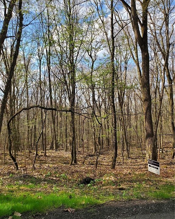 2nd image of Laurel Ln