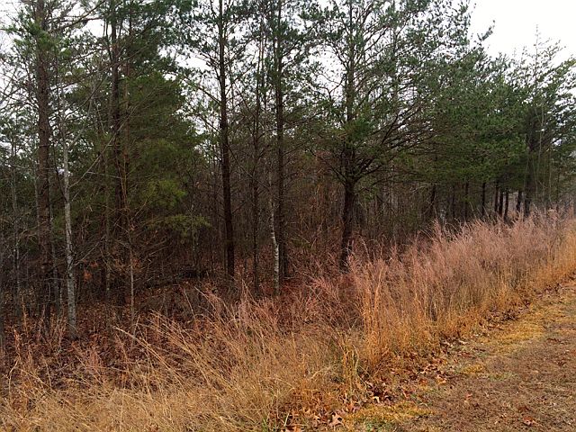 2nd image of N Natural Springs Ct Lot 46