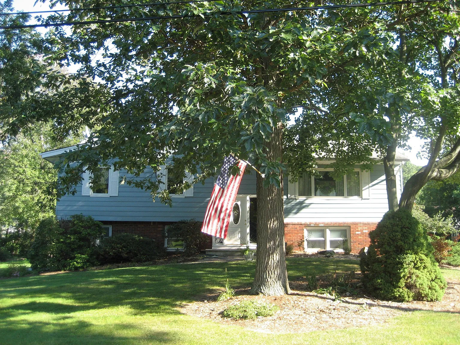 55 Marcia Rd photo 1