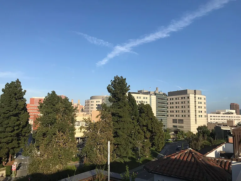 View of the campus