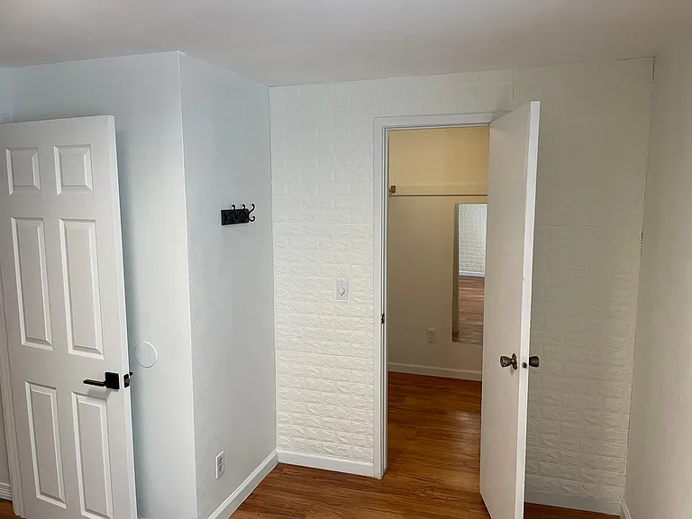 Basement bedroom with walk-in closet.