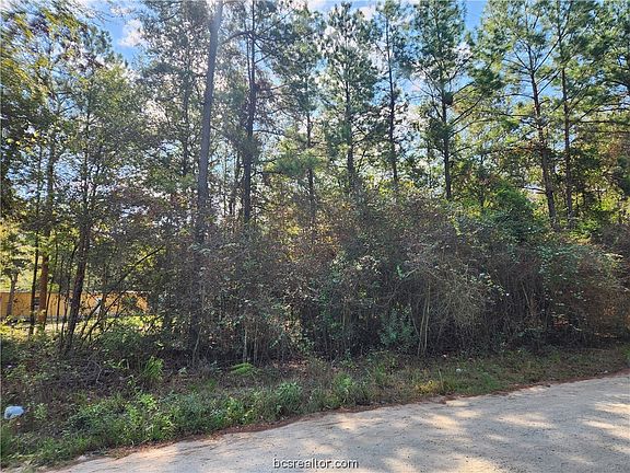 5th image of LOT 1 Live Oak Dr